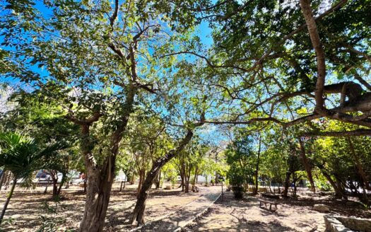 Luxury 1-Bedroom Oasis in Downtown Playa del Carmen – Central Park