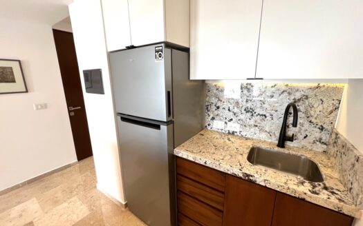 Stunning Turn-Key Condo with Double Terraces | Zilha 42 (Phase 2)